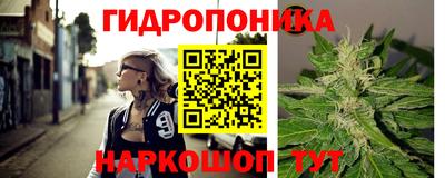 гидра Старая Купавна
