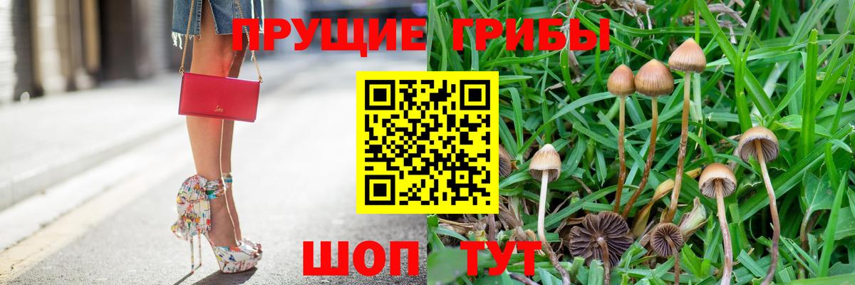 Отрадный  Псилоцибиновые грибы GOLDEN TEACHER  Вход с VPN  Галлюциногенные грибы Psilocybine cubensis 